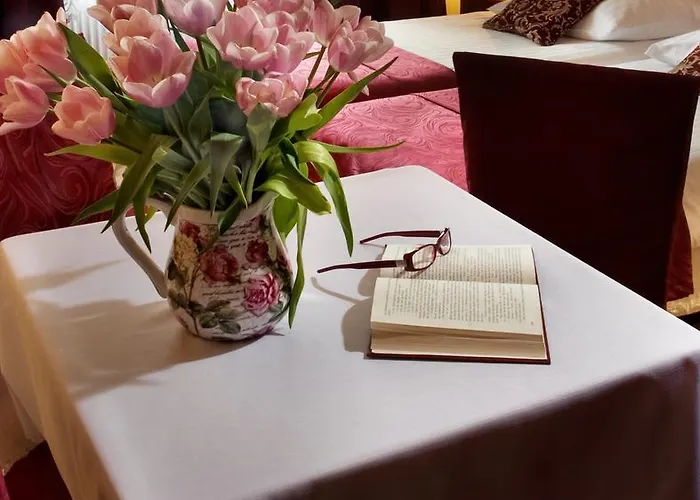 Astor كراكوفيا